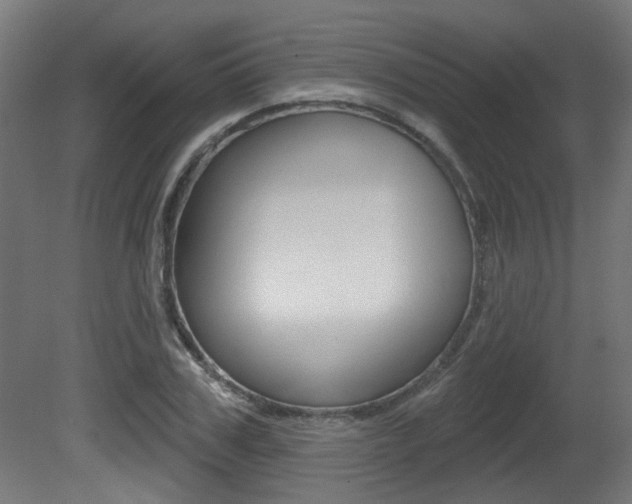 X0000081420979200701120940