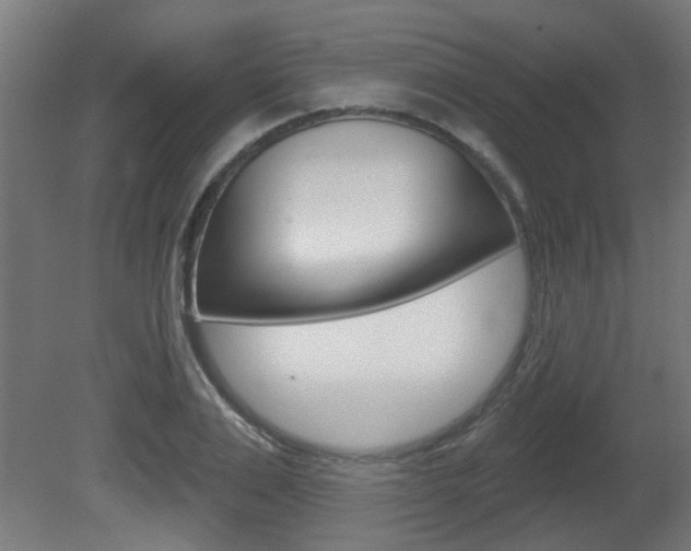 X0000081420983200701120940
