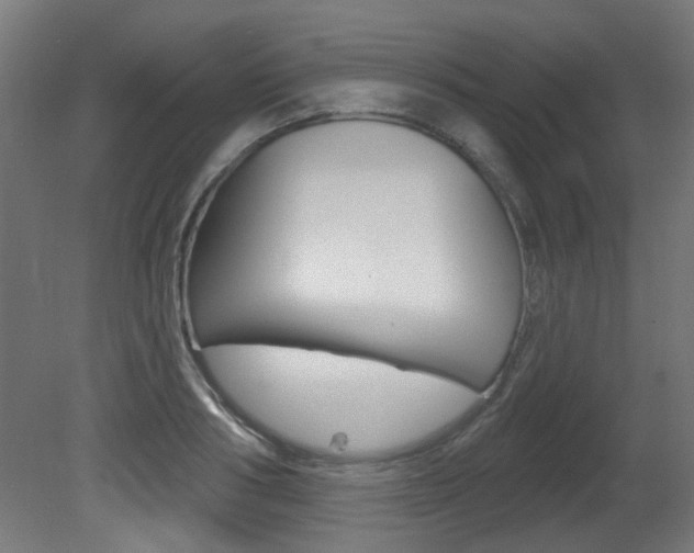 X0000081420986200701120940