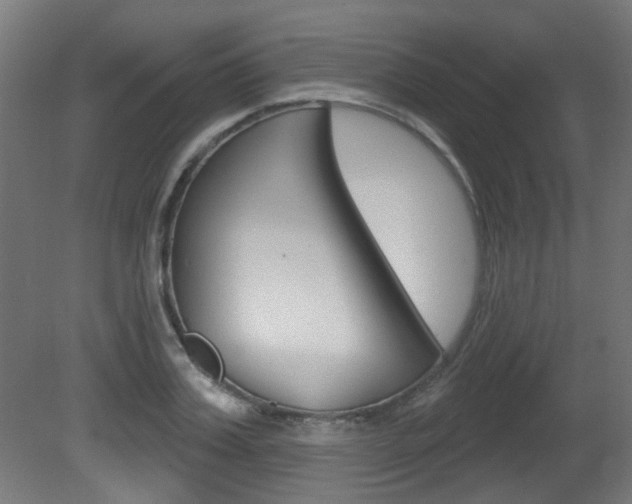 X0000081420987200701120940