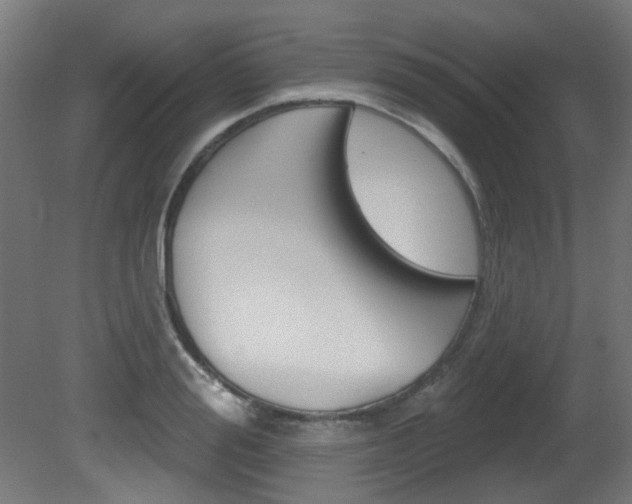 X0000081420988200701120940
