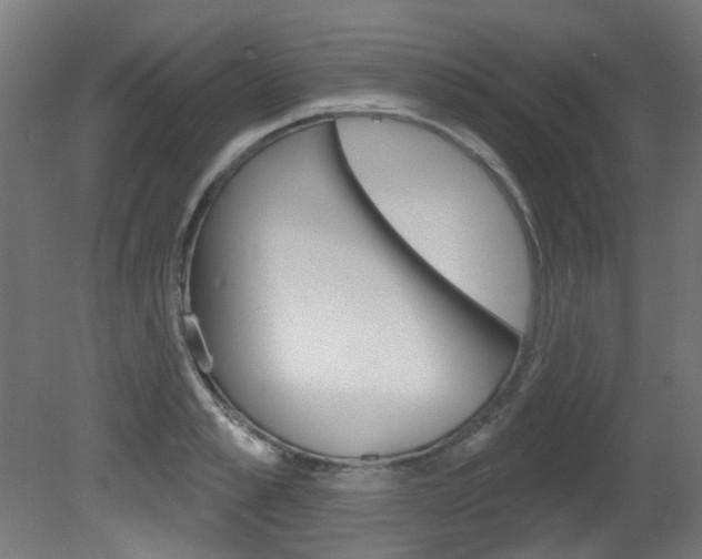 X0000081420989200701120940