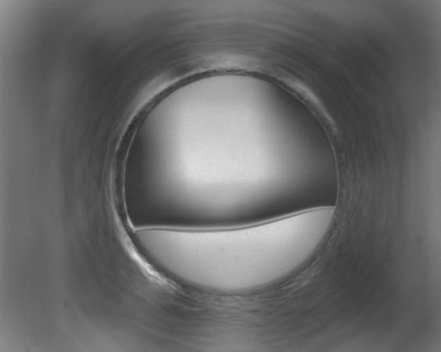 X0000081420991200701120940