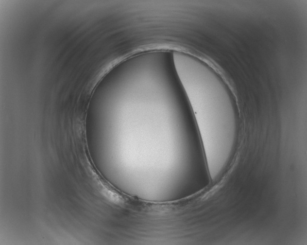 X0000081420993200701120940