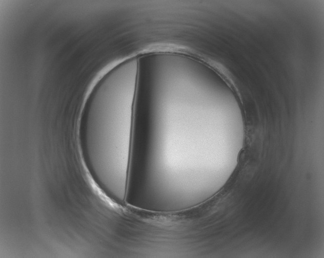 X0000081420995200701120939