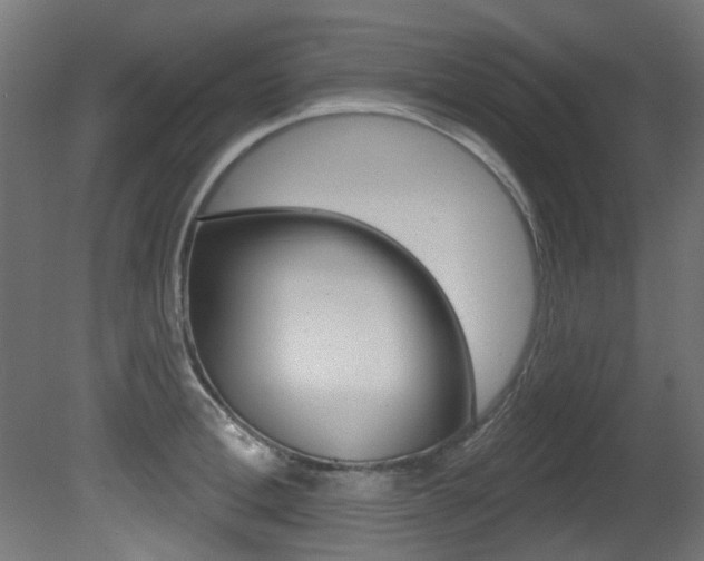 X0000081420996200701120939