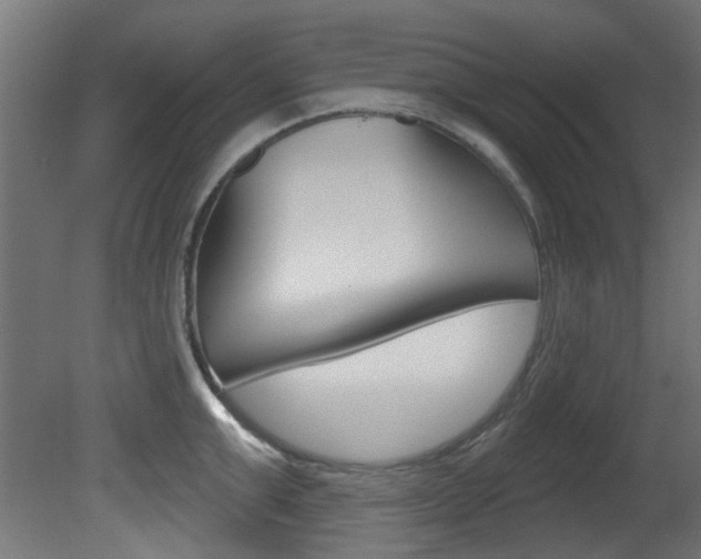 X0000081420999200701120939