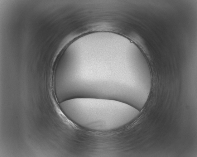 X0000081421000200701120939