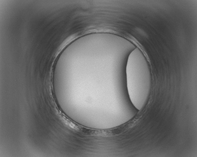 X0000081421002200701120939