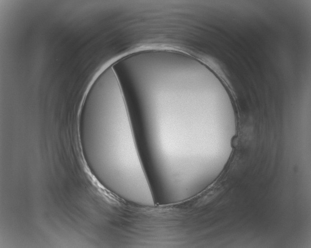 X0000081421004200701120939