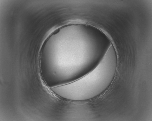 X0000081421008200701120939