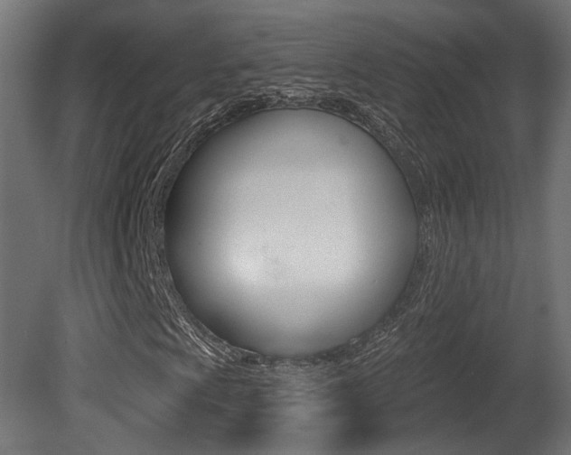 X0000081421009200701120938