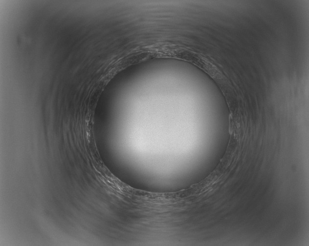 X0000081421010200701120938
