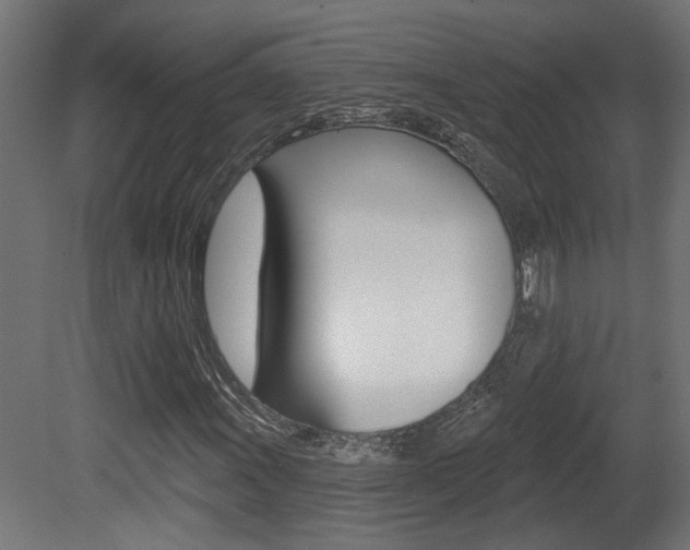 X0000081421011200701120938