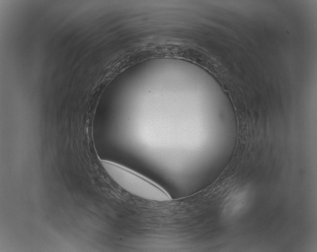 X0000081421013200701120938