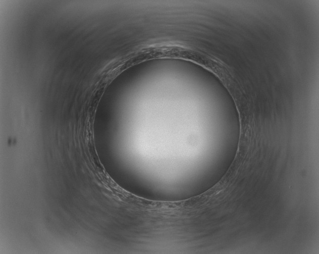 X0000081421014200701120938