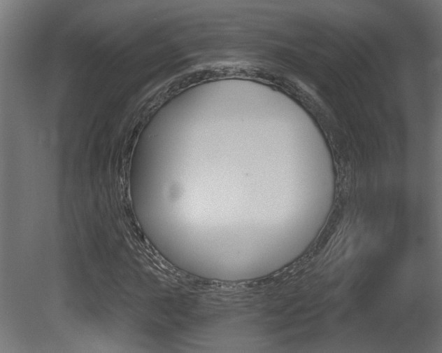 X0000081421015200701120938