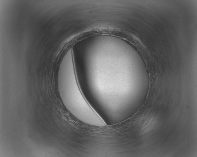 X0000081421016200701120939