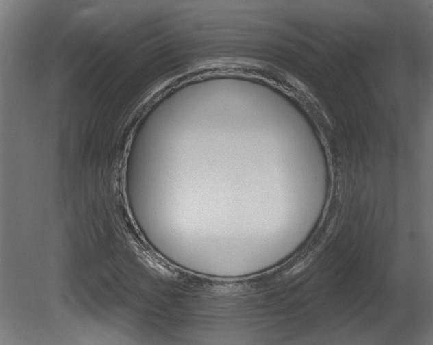 X0000081421017200701120939
