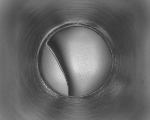 X0000081421020200701120939
