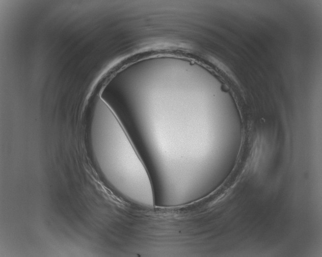 X0000081421021200701120939