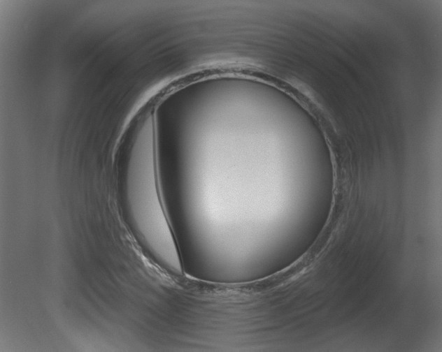X0000081421022200701120939