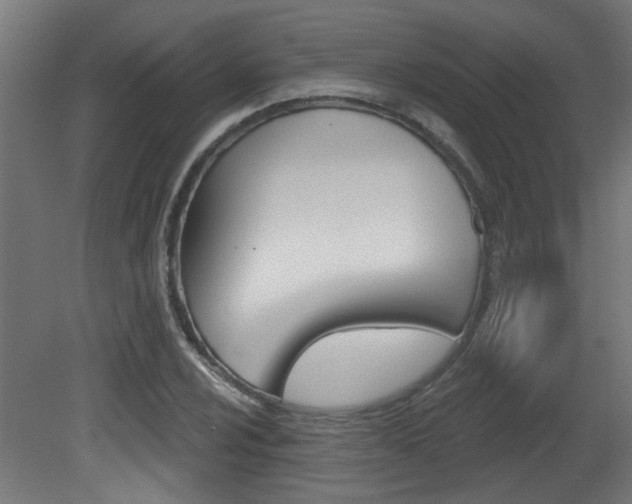X0000081421024200701120939