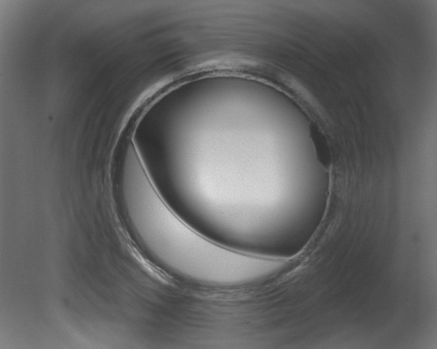 X0000081421026200701120939