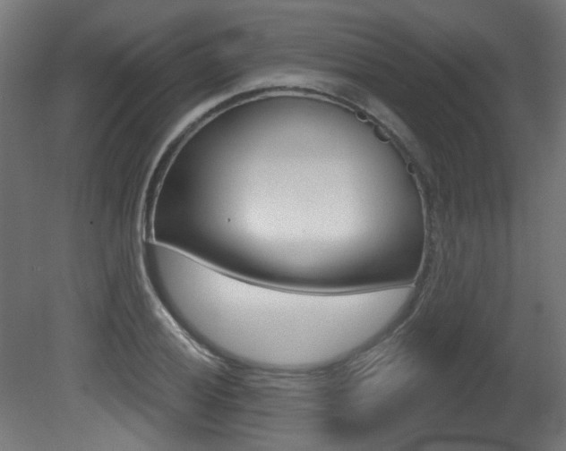 X0000081421028200701120939