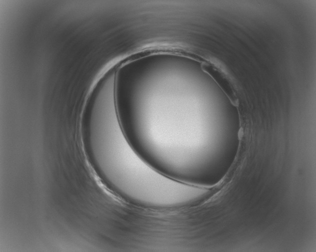 X0000081421030200701120939