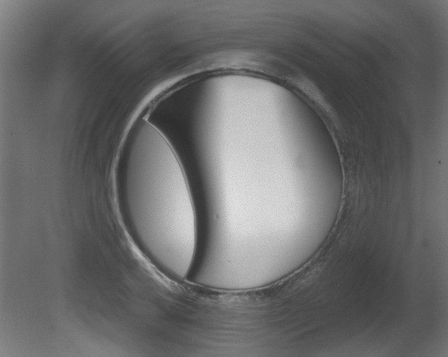 X0000081421032200701120939