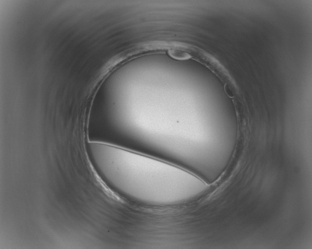 X0000081421033200701120939
