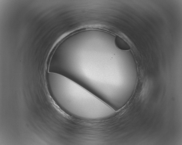 X0000081421036200701120939
