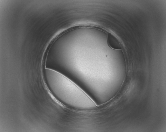 X0000081421037200701120939