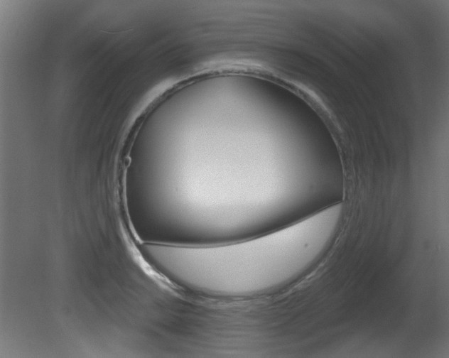 X0000081421038200701120939