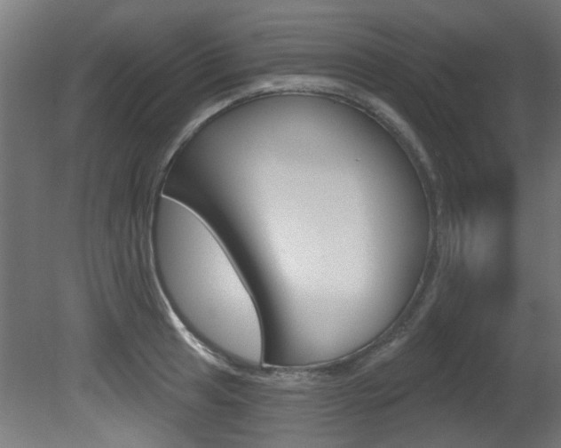 X0000081421041200701120939