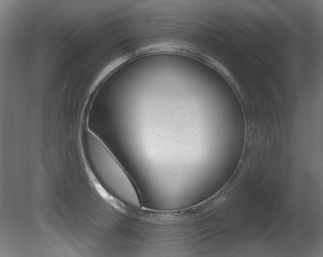 X0000081421042200701120939