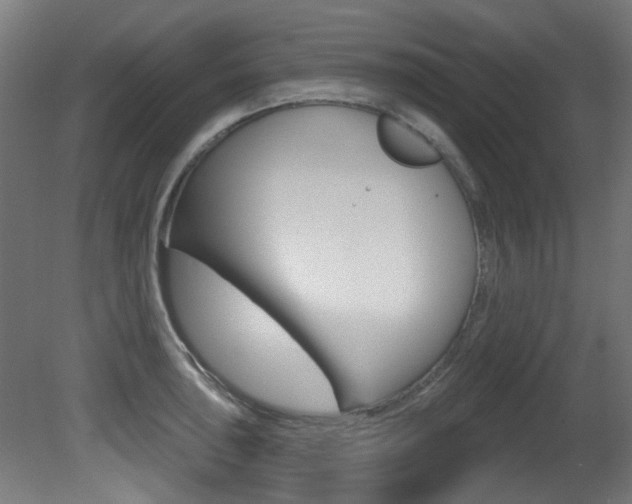 X0000081421043200701120939
