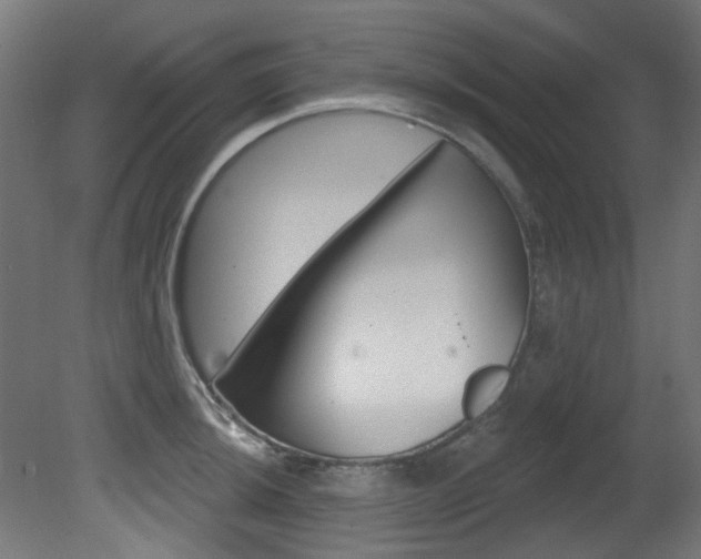 X0000081421044200701120939