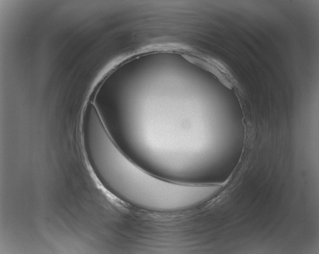 X0000081421046200701120939
