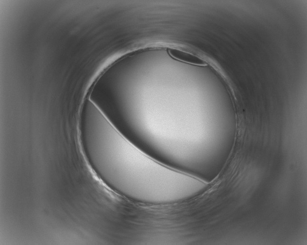X0000081421048200701120939