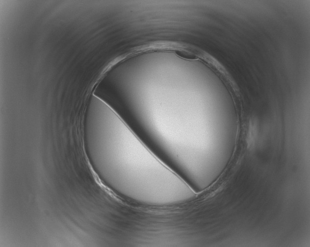 X0000081421049200701120939