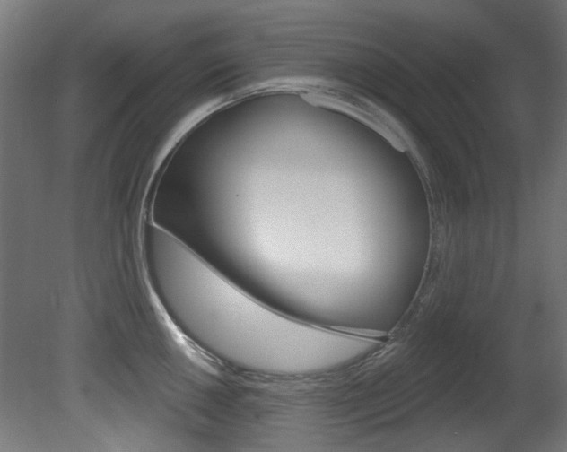 X0000081421050200701120939