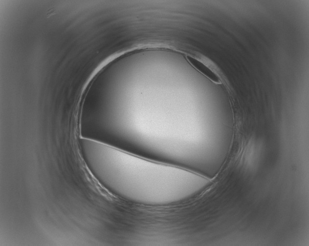 X0000081421052200701120939