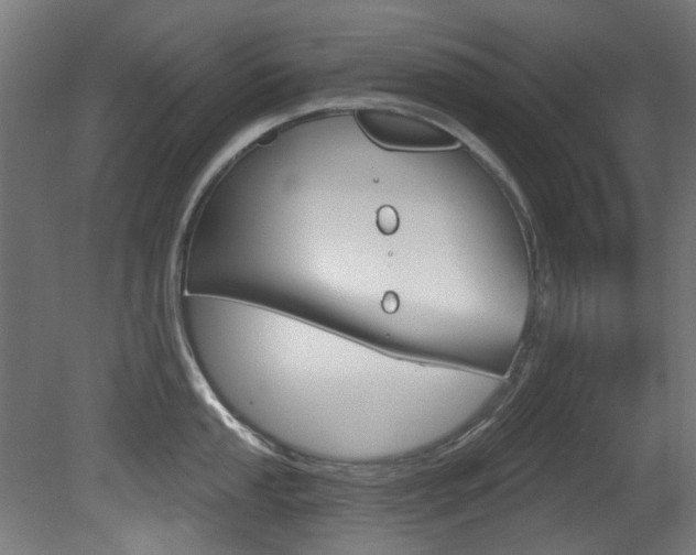 X0000081421053200701120939