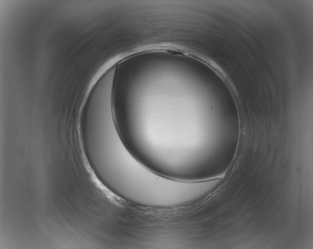 X0000081421054200701120939