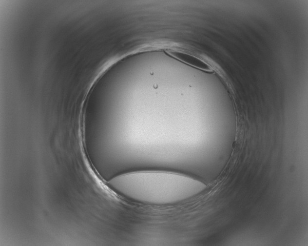X0000081421055200701120939