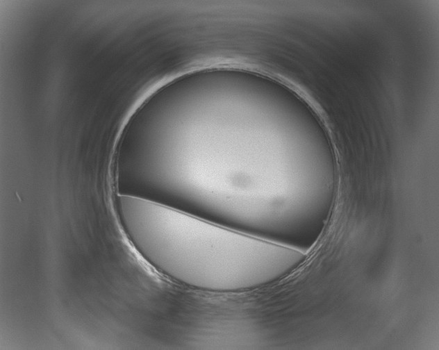 X0000081421056200701120939