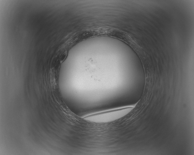 X0000081421058200701120938