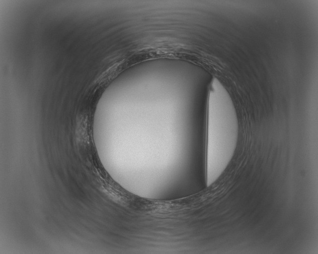 X0000081421060200701120938